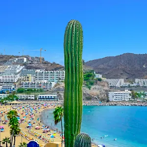 Punta Del Rey (adults Only) Puerto Rico (Gran Canaria)